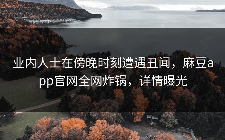 业内人士在傍晚时刻遭遇丑闻，麻豆app官网全网炸锅，详情曝光